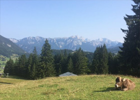 Österreich