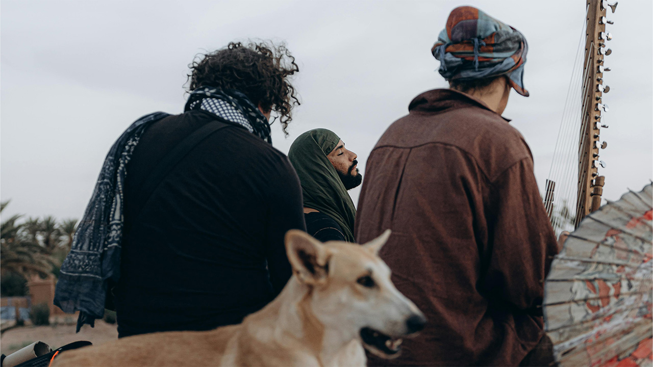 Die besten Reiseformen für Sie und ihren Hund – Abenteuer, Komfort und Freiheit