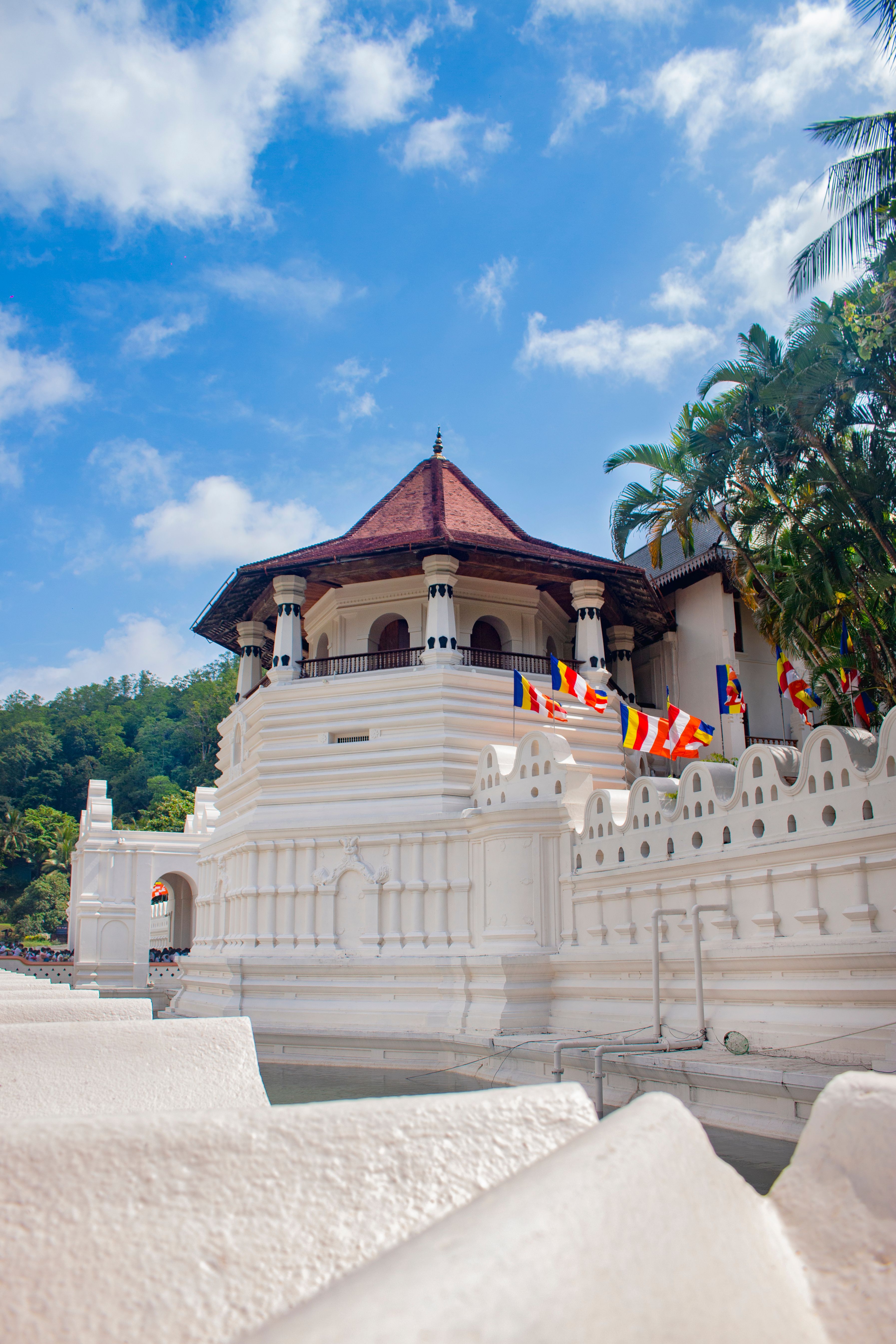 Zwischen jahrtausendealter Kultur und dem ursprünglichen Leben Sri Lankas