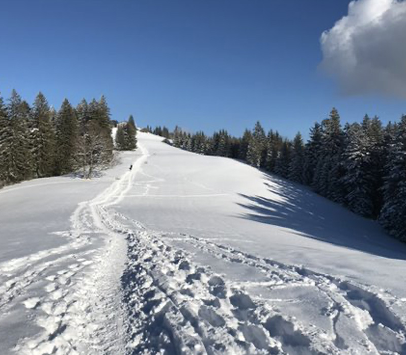 Tegernsee
